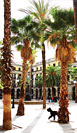 Pra&ccedil;a Reial, no Bairro G&oacute;tico em Barcelona
