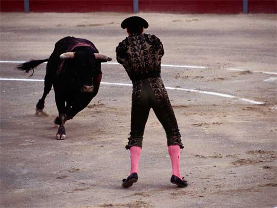  A banderillero prepares to spear a charging bull at the start of a bullfight