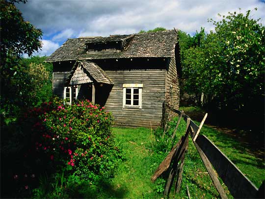  Dilapidated but oh so cute - Chilean home and overgrown garden near Pucón