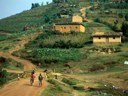  Small farms on hill, not far from Lake Burera, near Ugandan border
