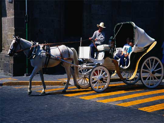  A nice way to travel: cruising around central Guadalajara in a white carriage