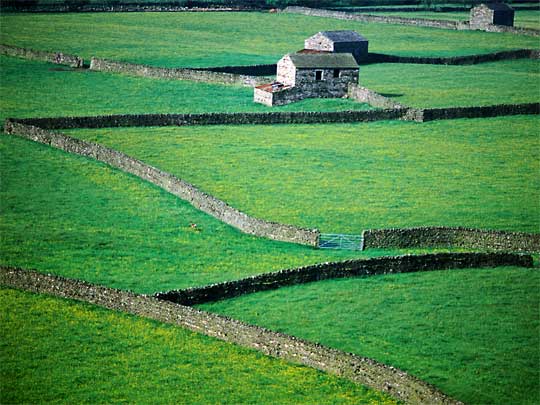  Drystone walls, dating from 16th and 17th centuries, snaking over green fields