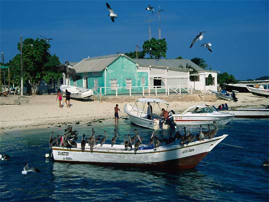 Boats are the best way to get around Los Roques - just ask the birds