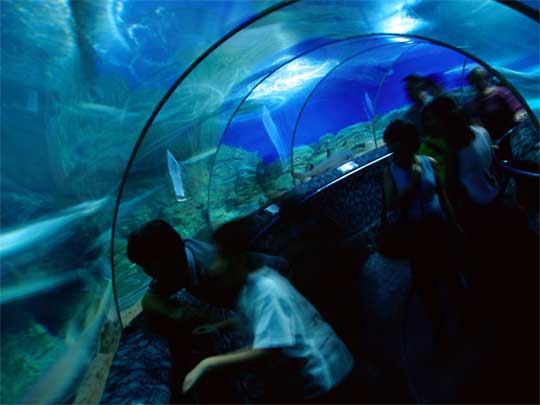 Visitors at Underwater World, home to more than 2000 marine animals