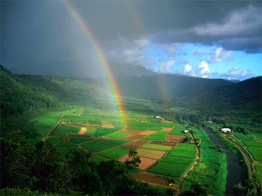  A double rainbow over fields in Hanalei Valley