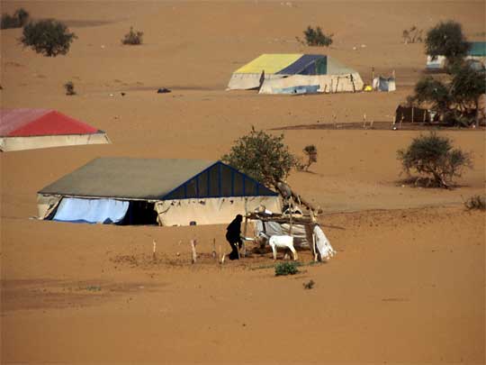  Nomad tents in desert between Nouackchott and Nouamghar