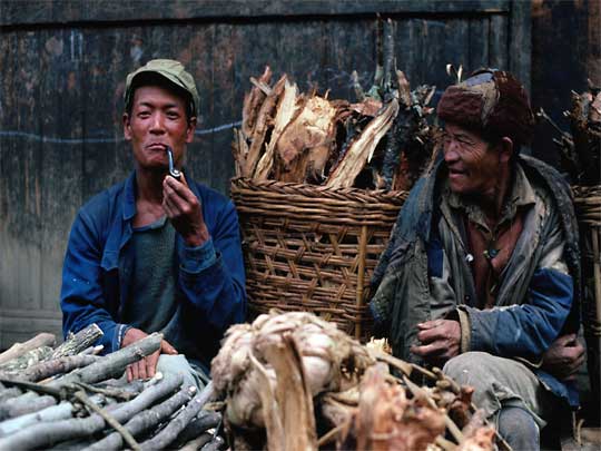  Two woodsellers smoking their way through the day