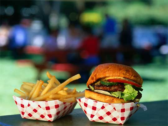 Plat du jour, the ubiquitous burger with fries