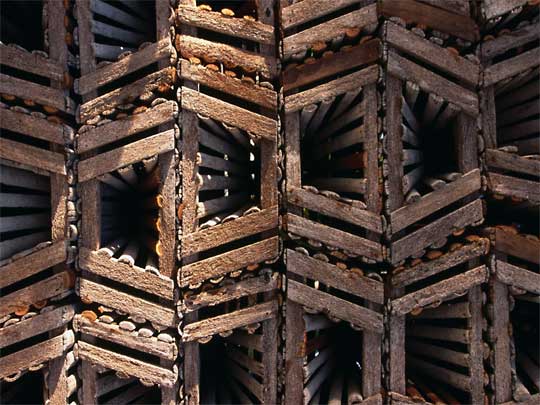  No clawing their way out: lobster traps in Caye Caulker