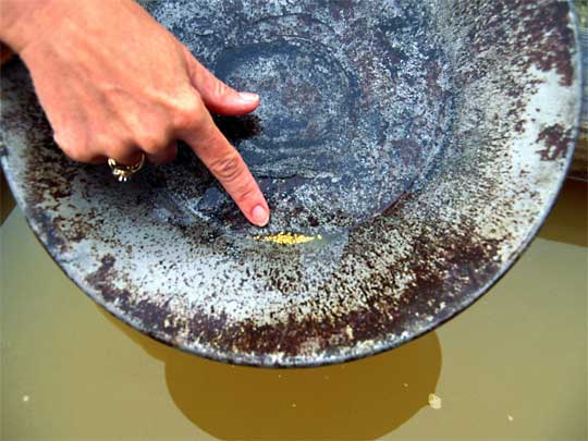  Panning for gold