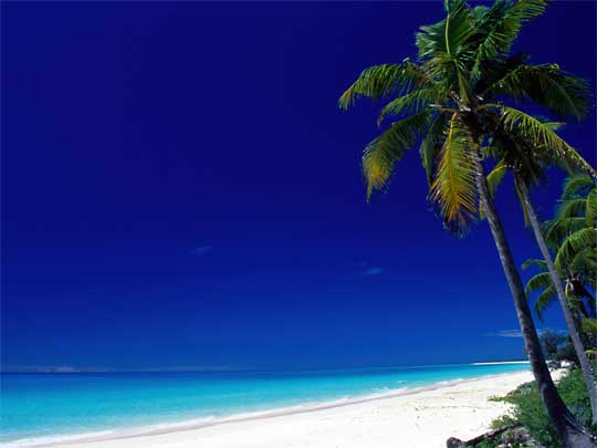  Everything looking perfect at Muli beach, on Ouvea