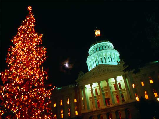  Night view of State Capitol Building and illuminated tree