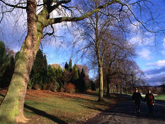  Strolling through Roundhay Park on a sunny winter's day