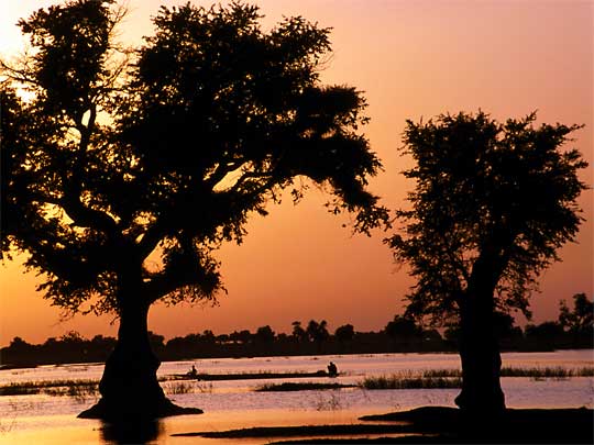  Fishing pirogues on the Niger River at dusk