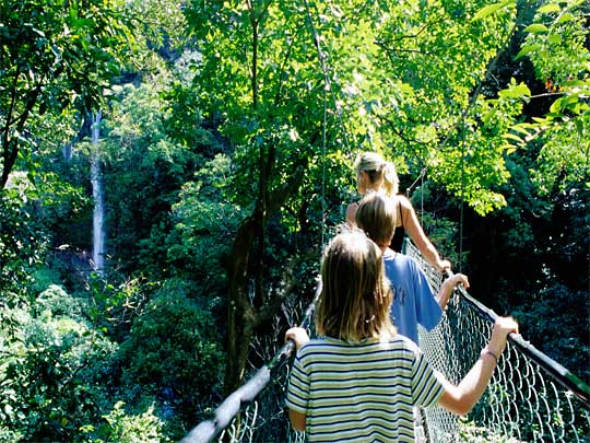  Monkey's eye view: suspended above the Rio Arenal, Arenal