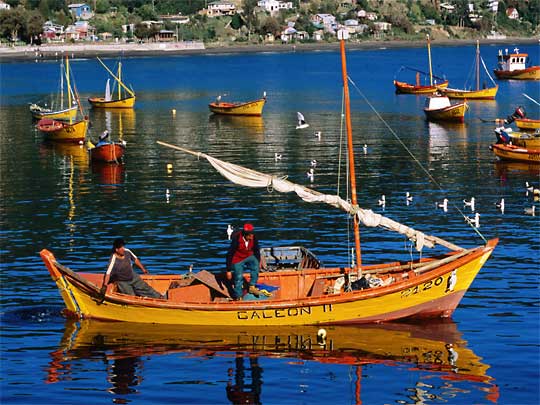  Orange-and-yellow is the favored color for fishing dinghies on Río Valdivia