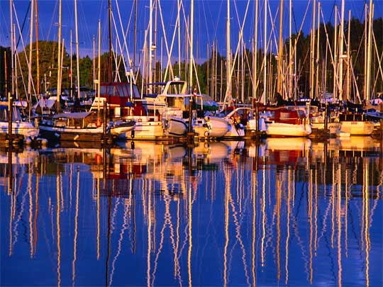  Late afternoon reflections on the waters of the Royal Vancouver Yacht Club