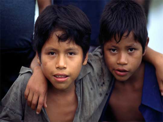  Double Trouble: two mates from the Amazon region