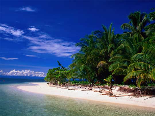  Beautiful white-sand beach, for you and friend, somewhere in Cayos Zapatillas