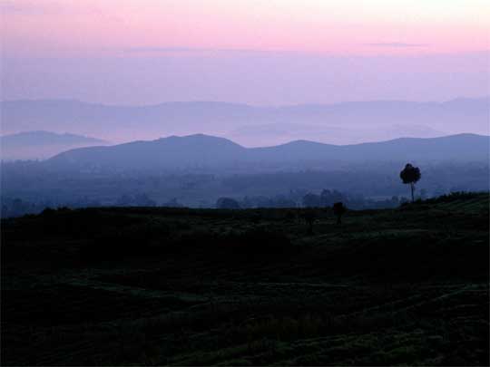  Dawn mist over the plains
