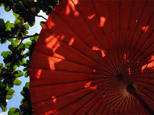 Sunlight shapes stream through a Thai rice paper umbrella on Hat Bang Rak