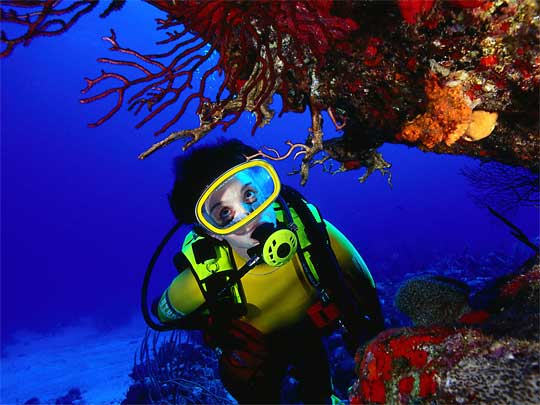  Diver transfixed by coral, near Torrens Point