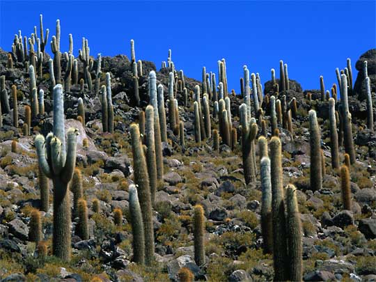 http://static.lonelyplanet.com/worldguide/images/BN4206_13.jpg