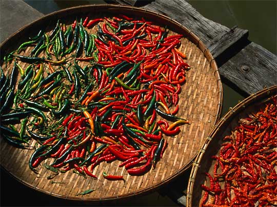 Fresh and dried chillies in Bangkok market