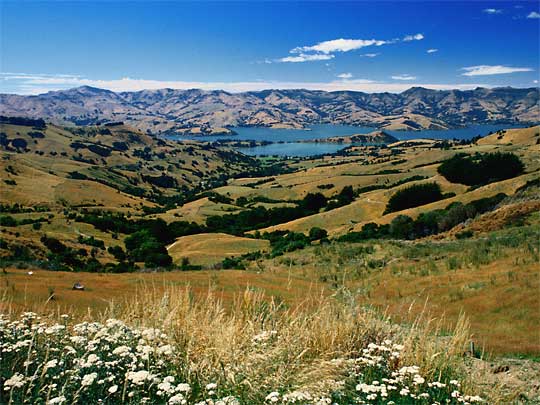 Lyttleton Harbour: White settlers landed here before founding Christchurch