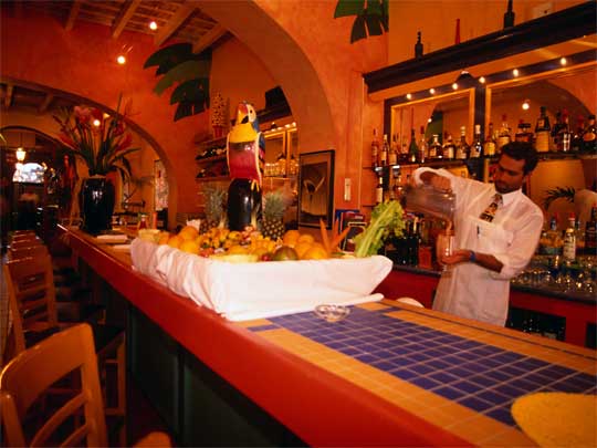  Dulce Alberggiare, with wooden parrot and barman mixing cocktails