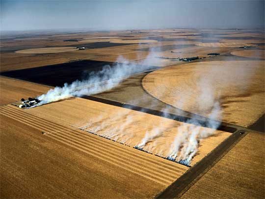  Fields burning, as if Satan's fingers scratched the earth