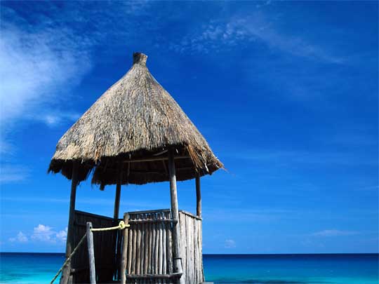  Sit, umpire like, in this palapa and survey the Caribbean