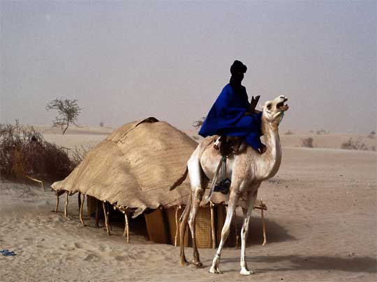  Tuareg nomad rides camel past Saharan desert dwelling near Timbuktu