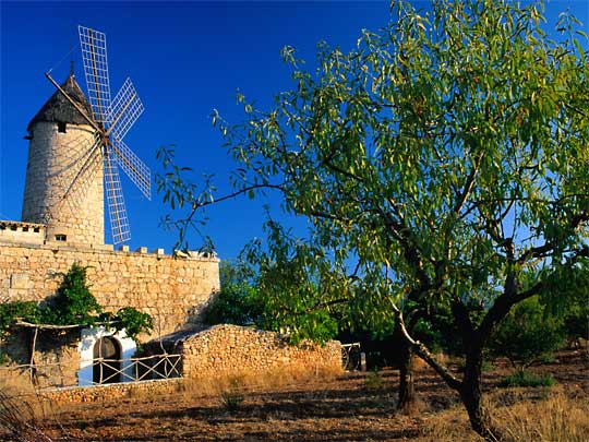  Old wood and stone windmill at Santa Maria, near town of Palma de Mallorca