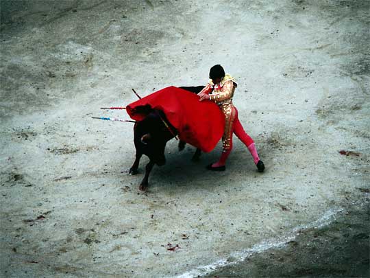  A matador makes a bull see red
