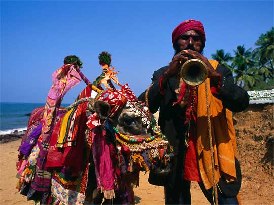  Travelling fortune teller with trumpet and 'magical cow'