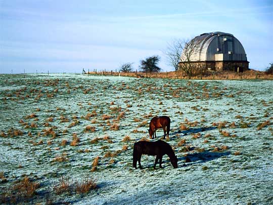  Wildlife grazing near the Brorfelde Observatory on Sjaelland