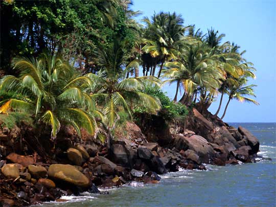  Île Royale, once administrative headquarters of Îles du Salut penal settlement