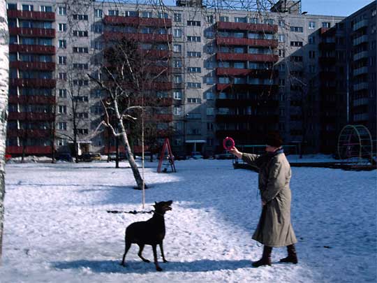  Brezhnev-era housing complex, with dog very pleased to see red plastic ring