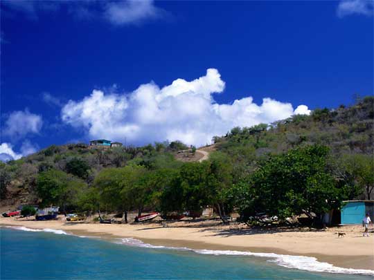  Man, dog and boats on beach at Mayreau Island, one of Grenadine Islands