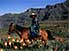 Trek guide in Ribaneng Pass, with 'Red Hot Poker' plants in foreground