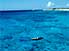 Scuba diving near Klein Bonaire, small island off coast of Bonaire
