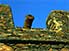 Canon on battlements of Fort Real do Sao Felipe, in ruined town of Cidade Velha