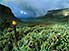 View of Bale Mountains National Park, with 'Red Hot Poker' plant in foreground