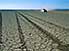 Dry white clay plains of Grand Barra, southern Djibouti