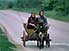 Women, cart and donkey outside Veliko Tornovo, central Bulgaria