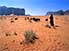 On a wild goat chase, Wadi Rum National Reserve, Aqaba