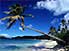Palm trees frame the white sands of Galley Beach in the Leeward Islands