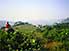 Lone hiker, having rest, in cool green highlands of Fouta Djalon Plateau