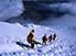Climbers enjoy descent after conquering Volcan Cotopaxi (5897/19,347ft)